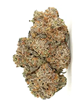 Strain 3