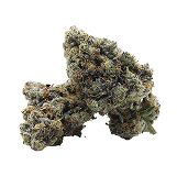 Strain 4